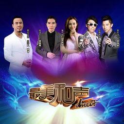 和声在线观看,沉浸式音乐盛宴，云端共享视听盛宴  第3张